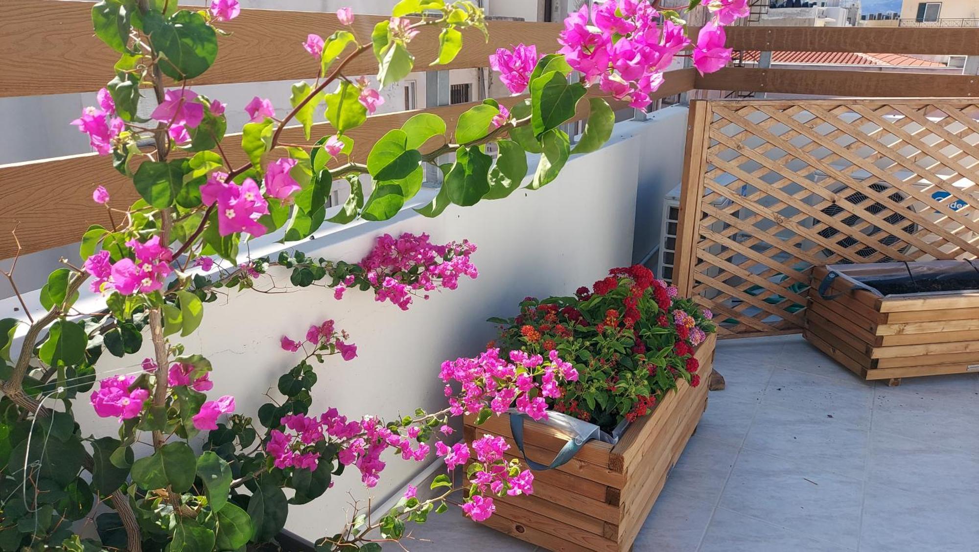 The Blue Apartment In The Heart Of Heraklion ภายนอก รูปภาพ