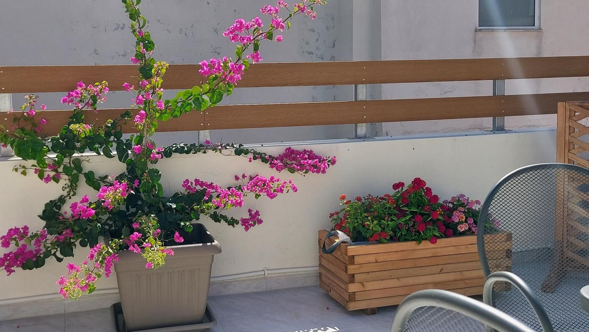 The Blue Apartment In The Heart Of Heraklion ภายนอก รูปภาพ