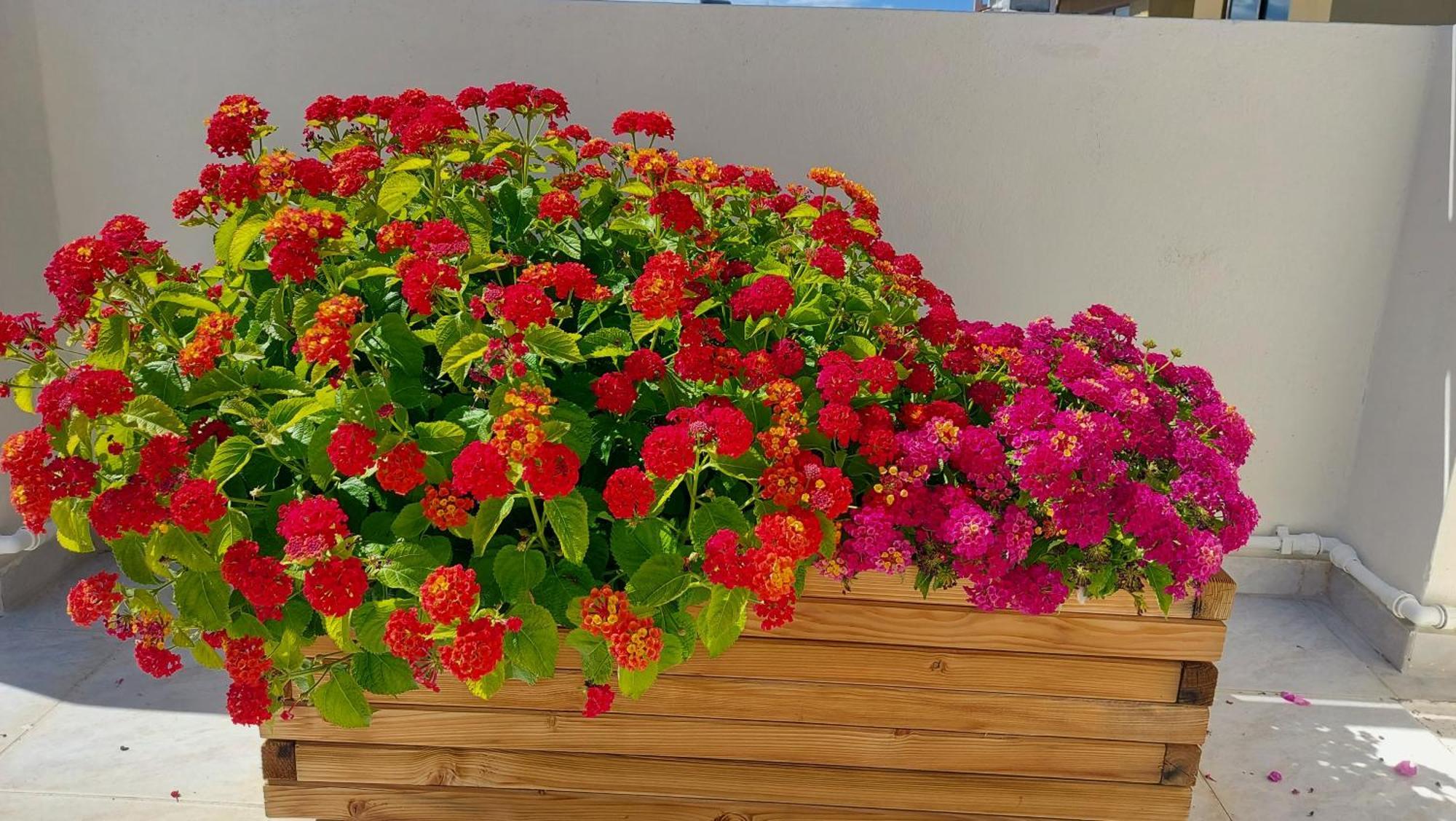 The Blue Apartment In The Heart Of Heraklion ภายนอก รูปภาพ